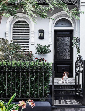 How to prevent mould in Sydney homes - Dew.