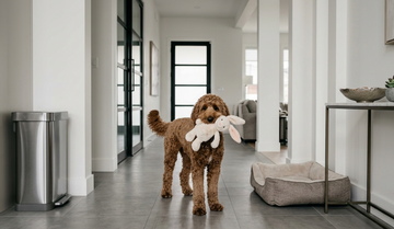 Why prevention beats remediation: the case for keeping mould out in the first place